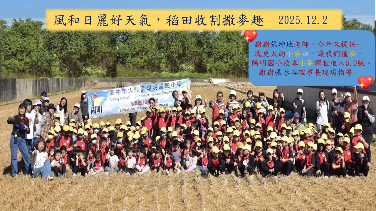 小麥校本課程-撒小麥